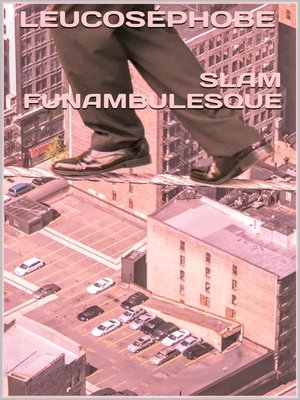 cover image of Slam funambulesque